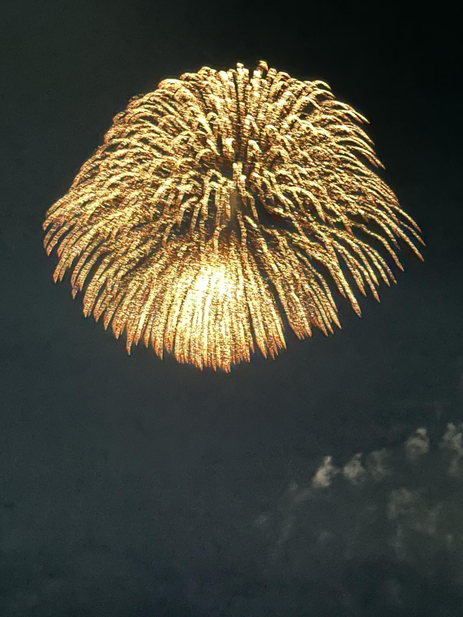 5 Calhoun Avenue 403