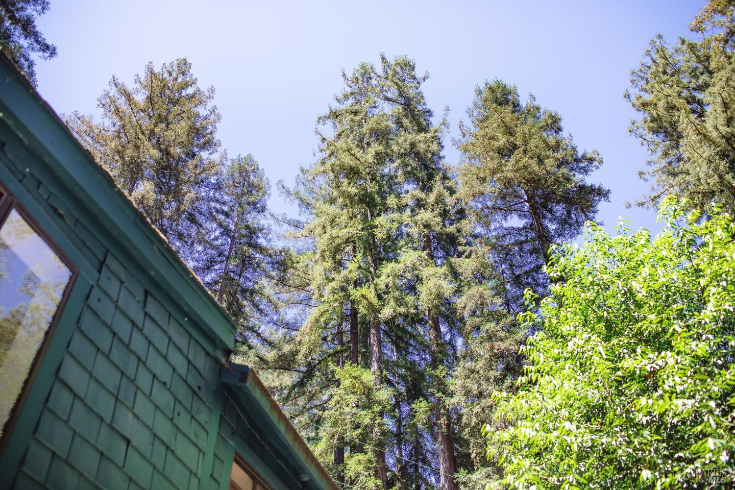 132 Madrone Avenue Unit: #178