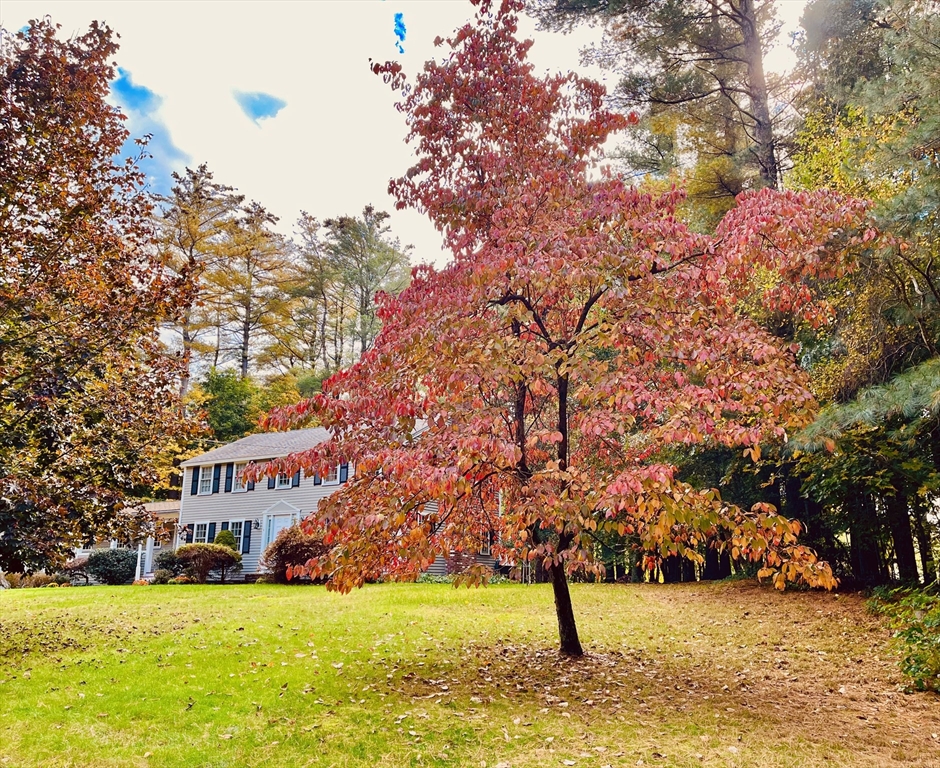 8 Whipple Road