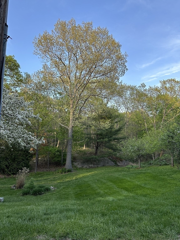 2 Orchard Lane