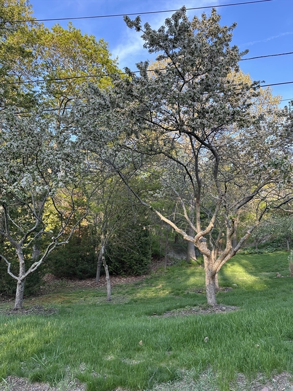 2 Orchard Lane