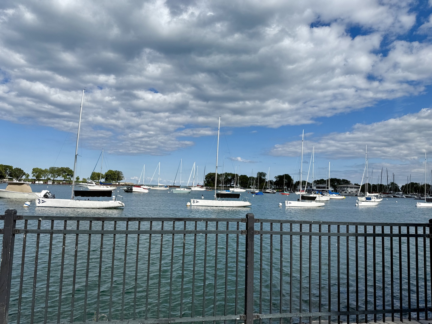 709 W Roscoe Street Unit: 1R