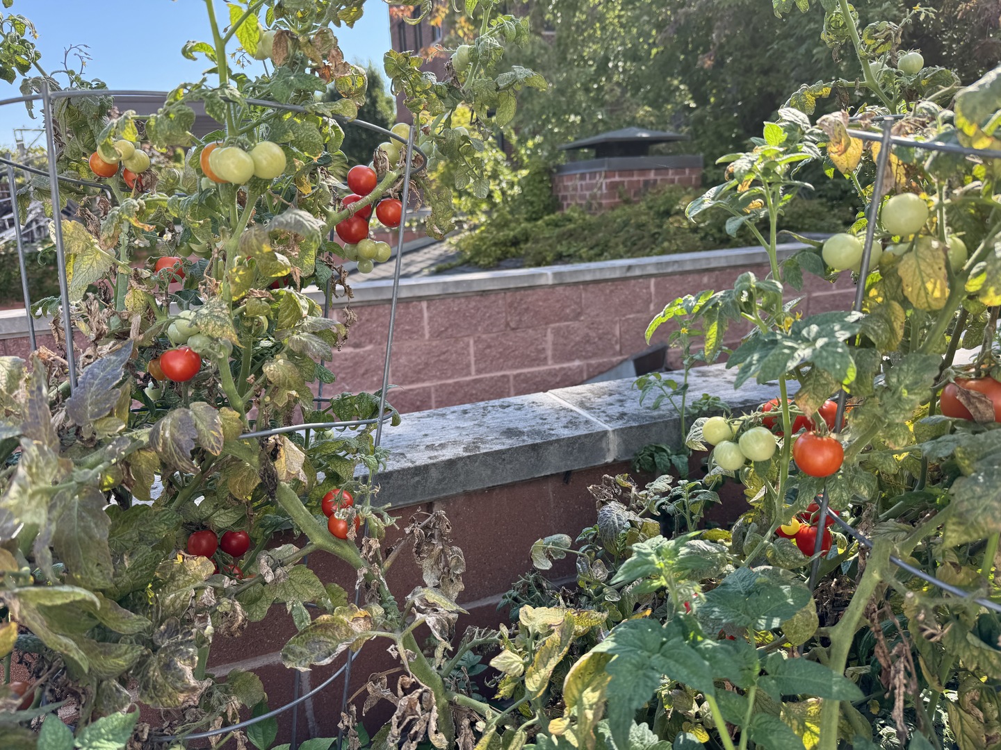 1532 W George Street