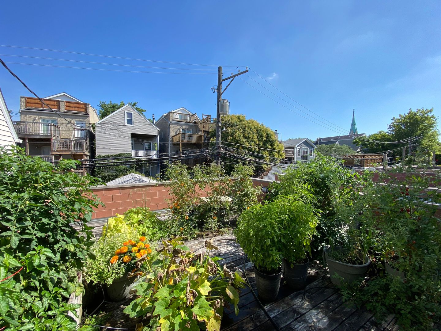 1532 W George Street