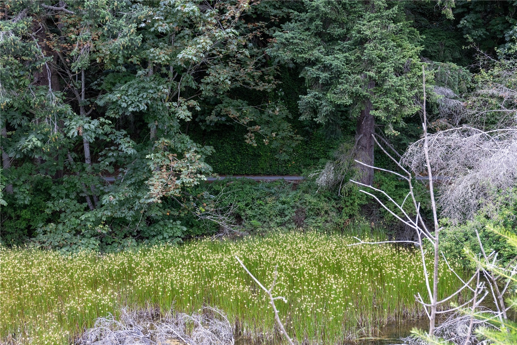 2190 Chuckanut Drive