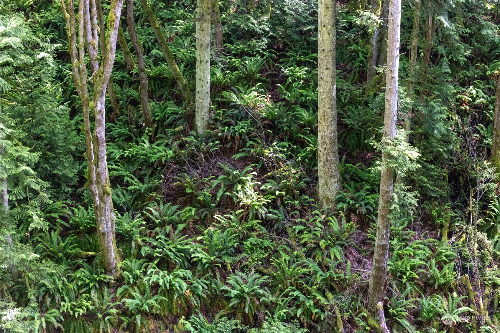 2190 Chuckanut Drive