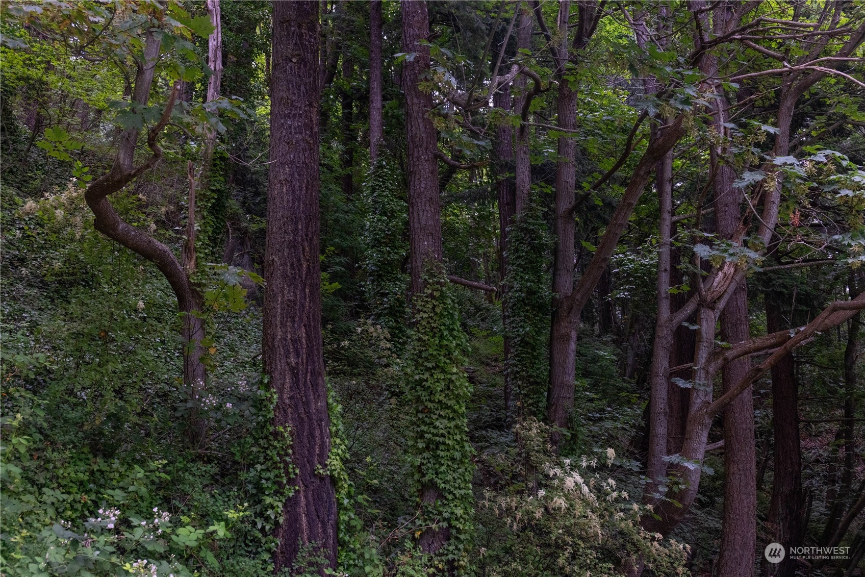 2190 Chuckanut Drive