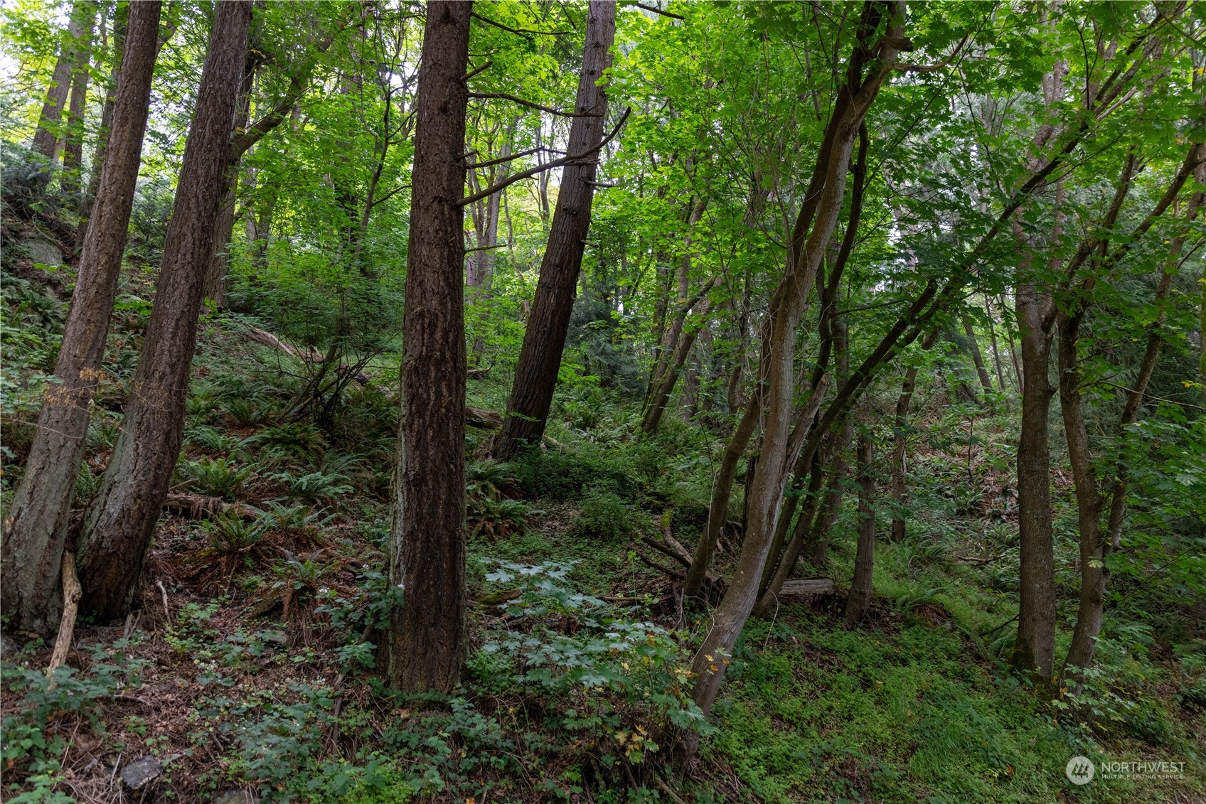 2190 Chuckanut Drive