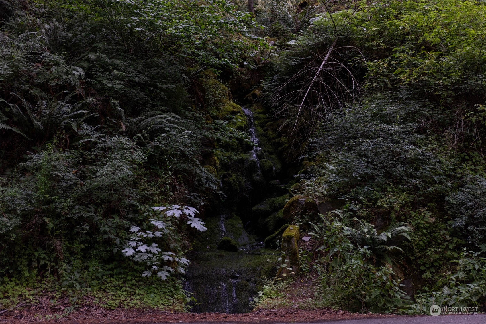 2190 Chuckanut Drive