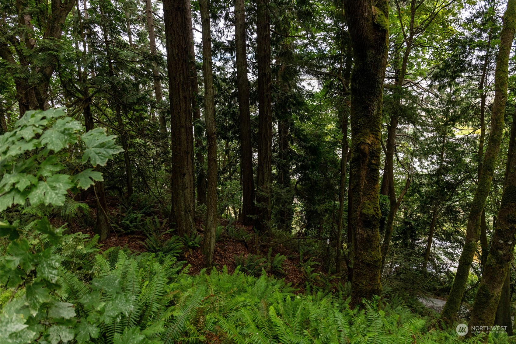 2190 Chuckanut Drive