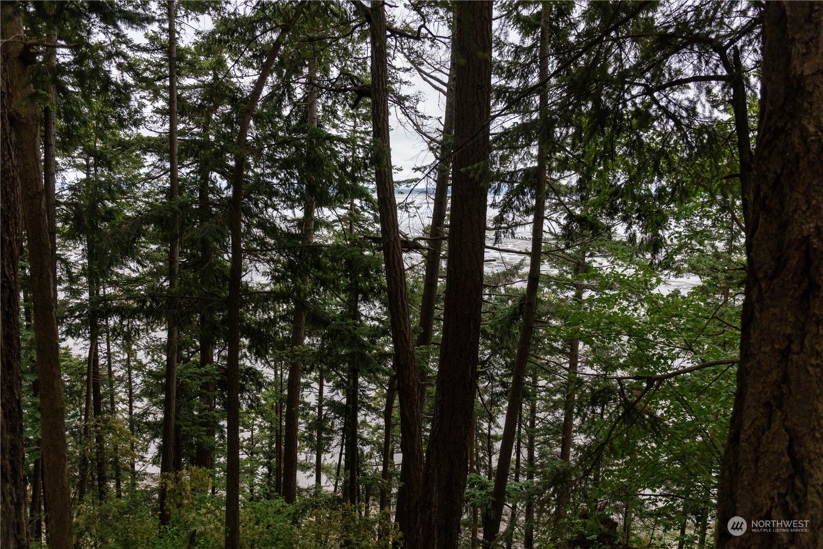 2190 Chuckanut Drive