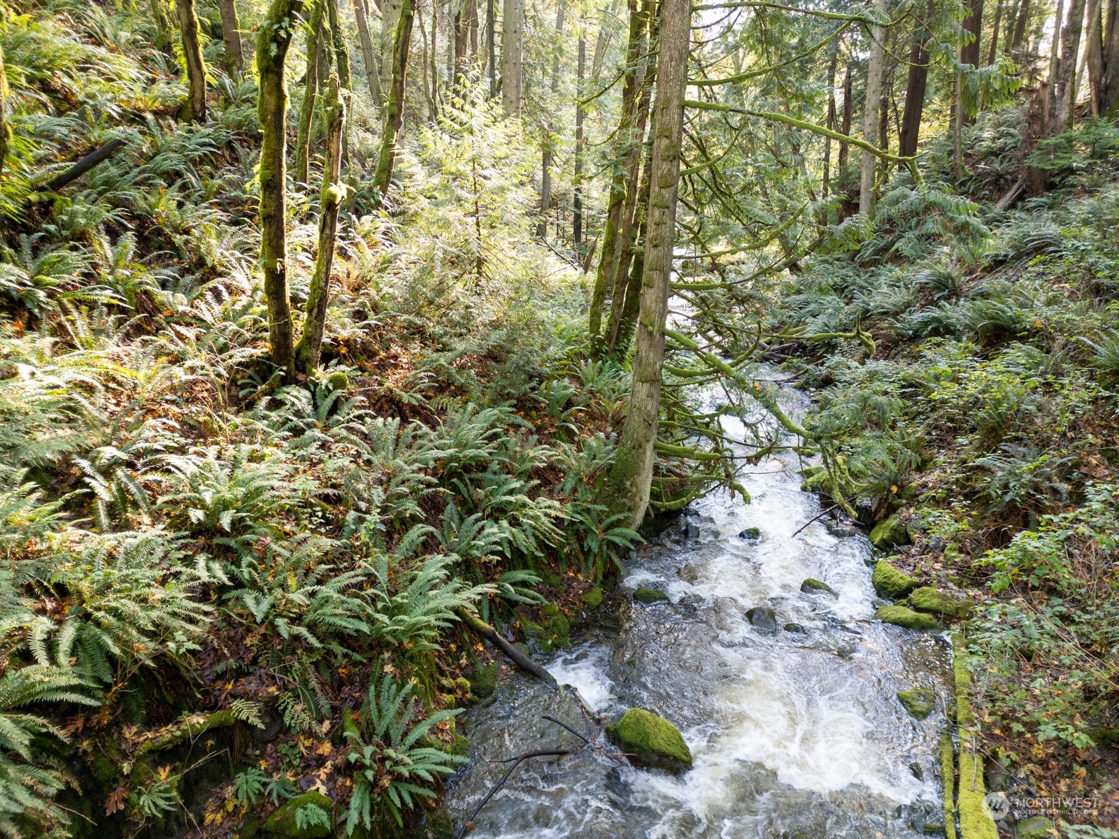 2190 Chuckanut Drive