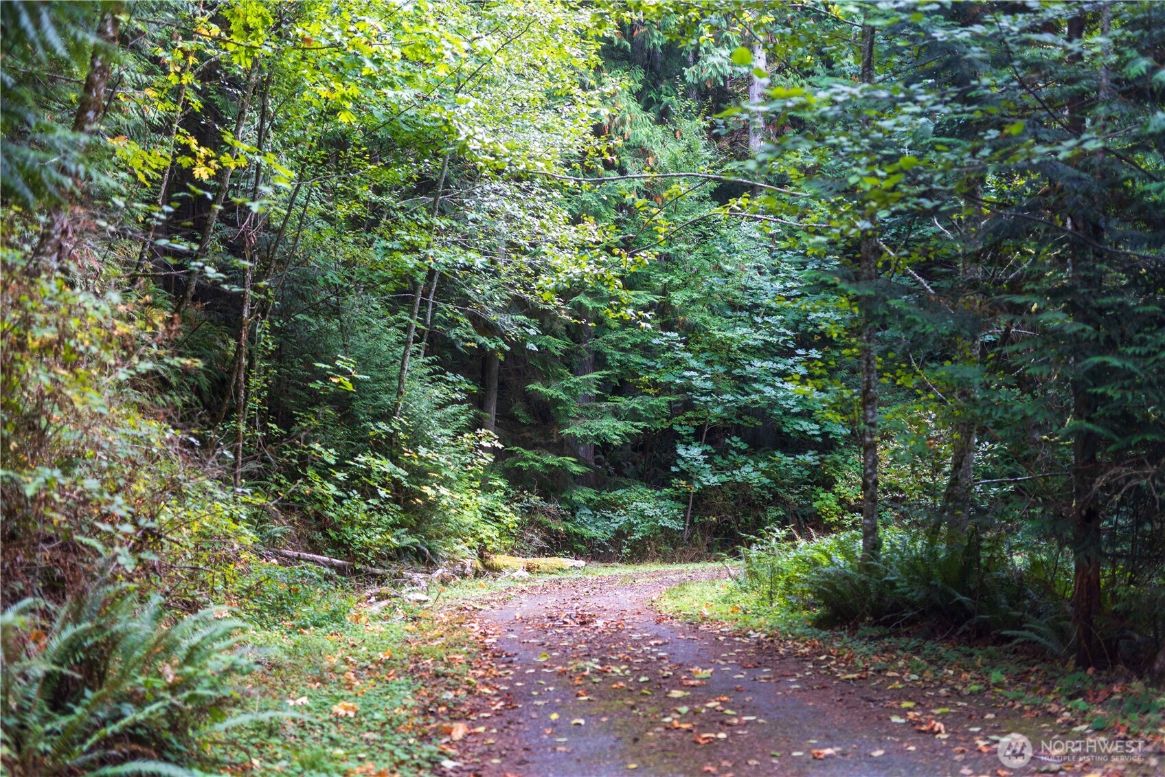 157 Chuckanut Crest Drive