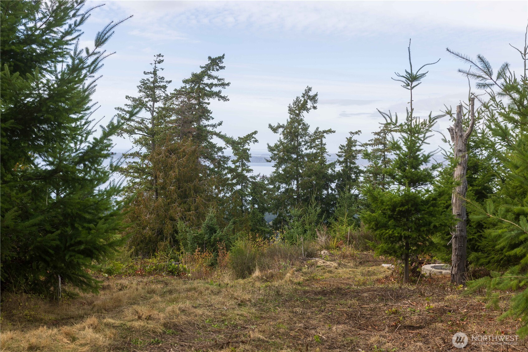 157 Chuckanut Crest Drive
