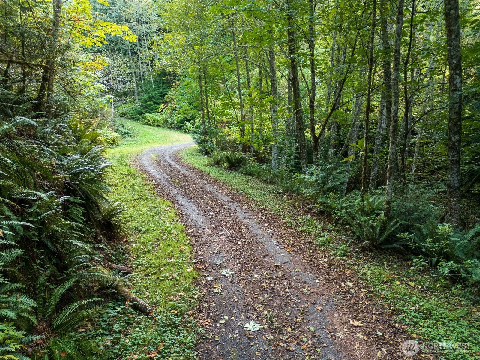 157 Chuckanut Crest Drive