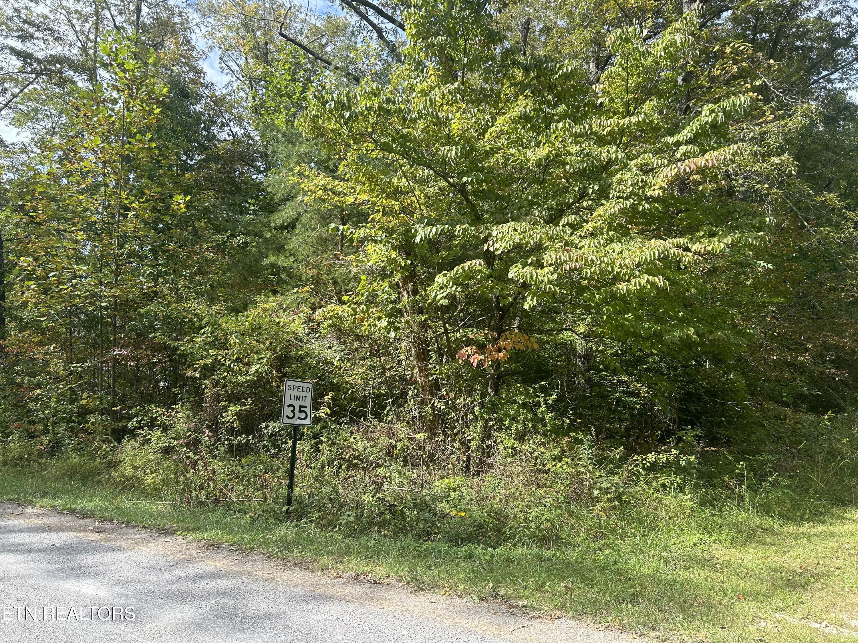 Hickory Drive