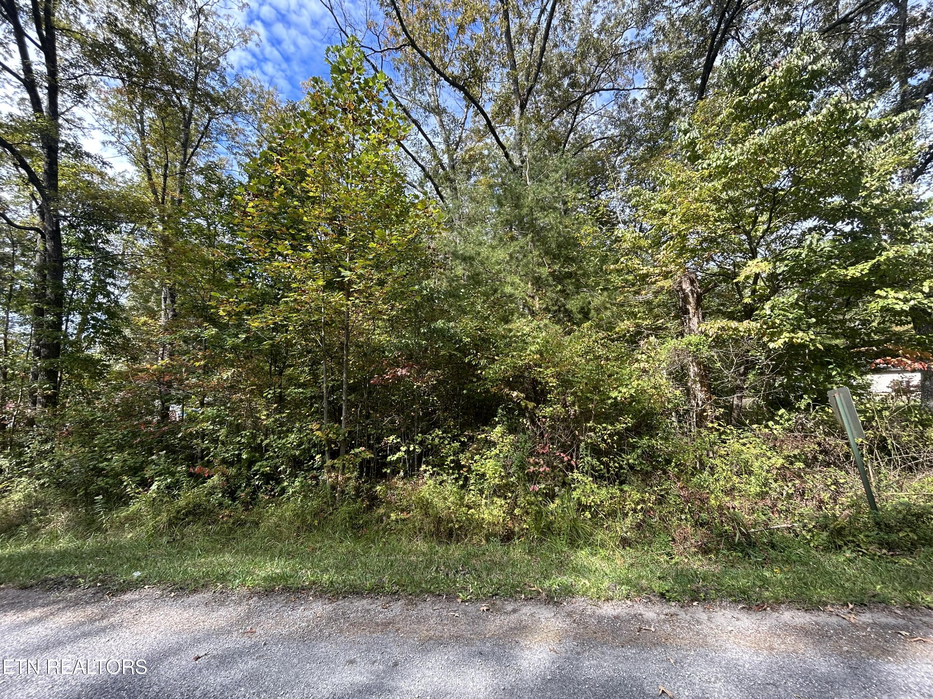 Hickory Drive