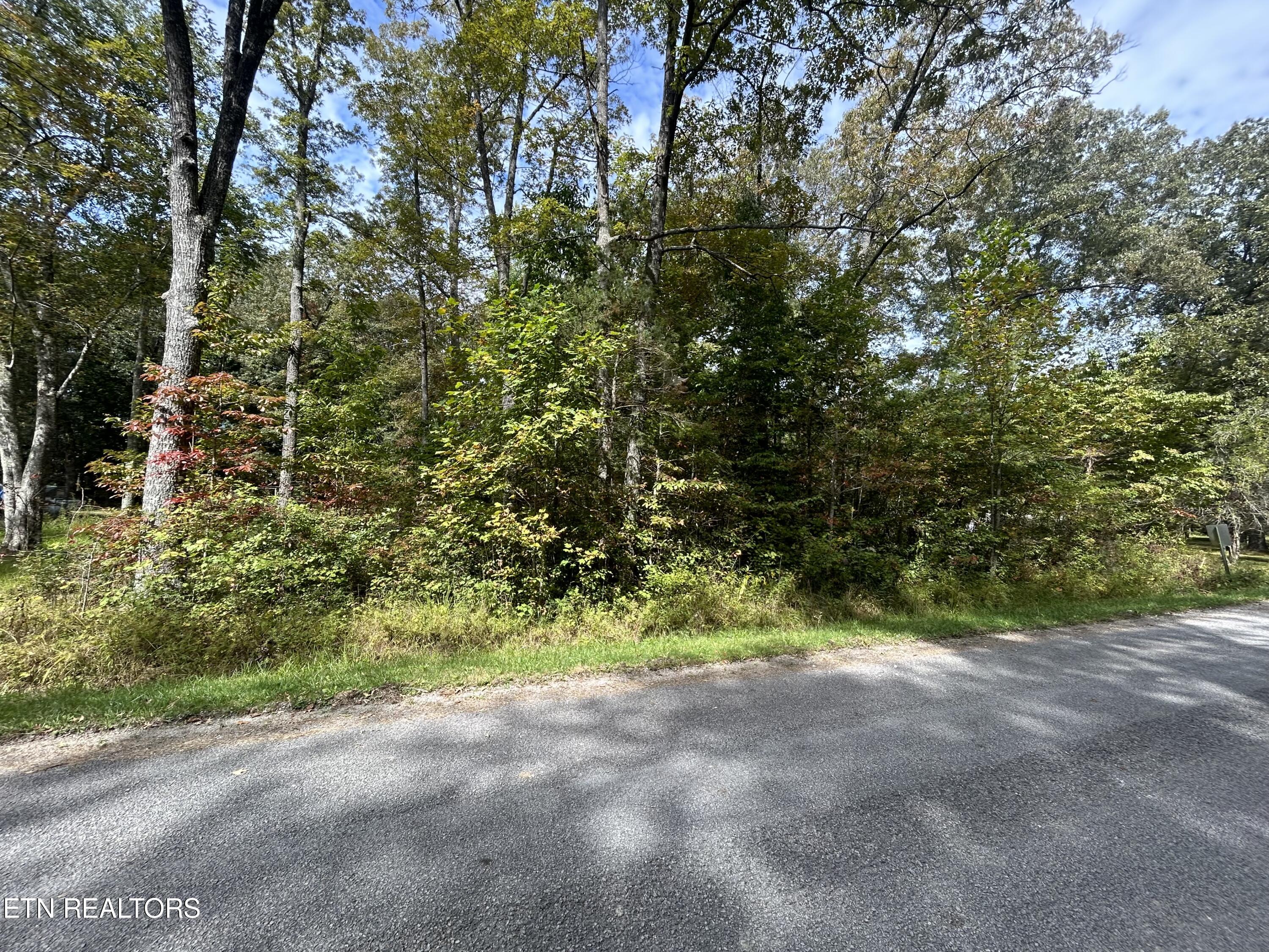 Hickory Drive