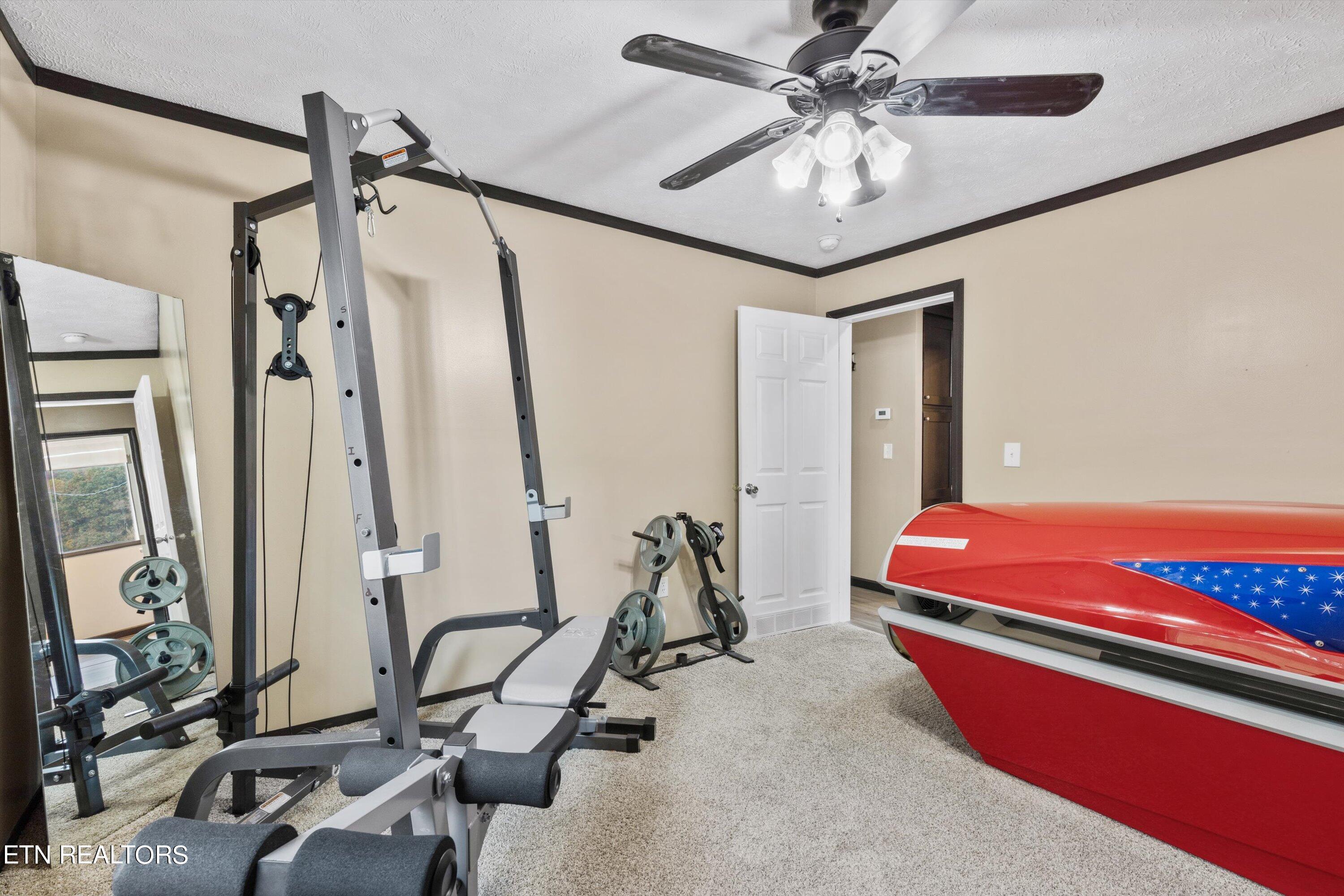 147 County Road 287