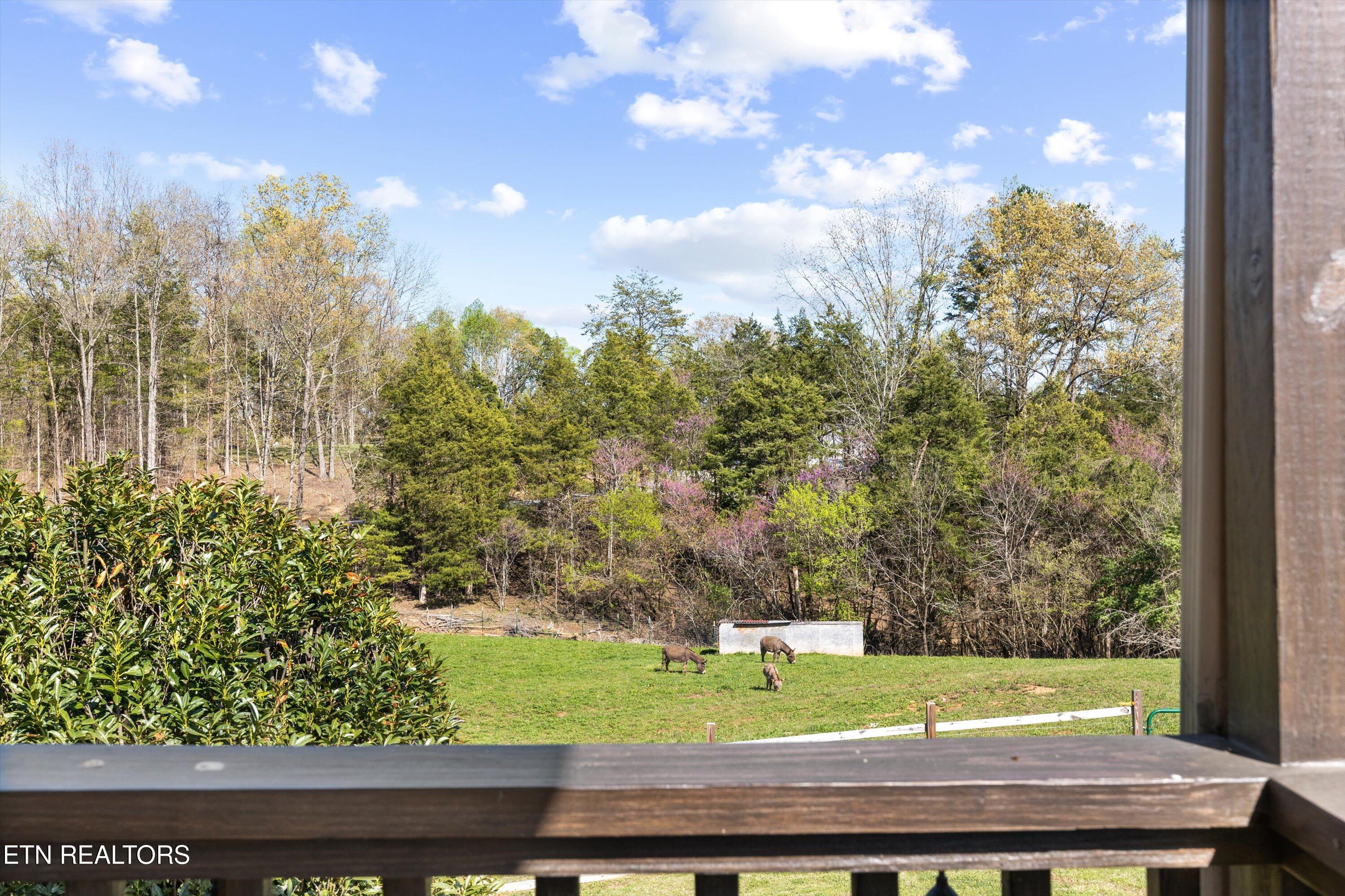 7006 Elna Marie Drive