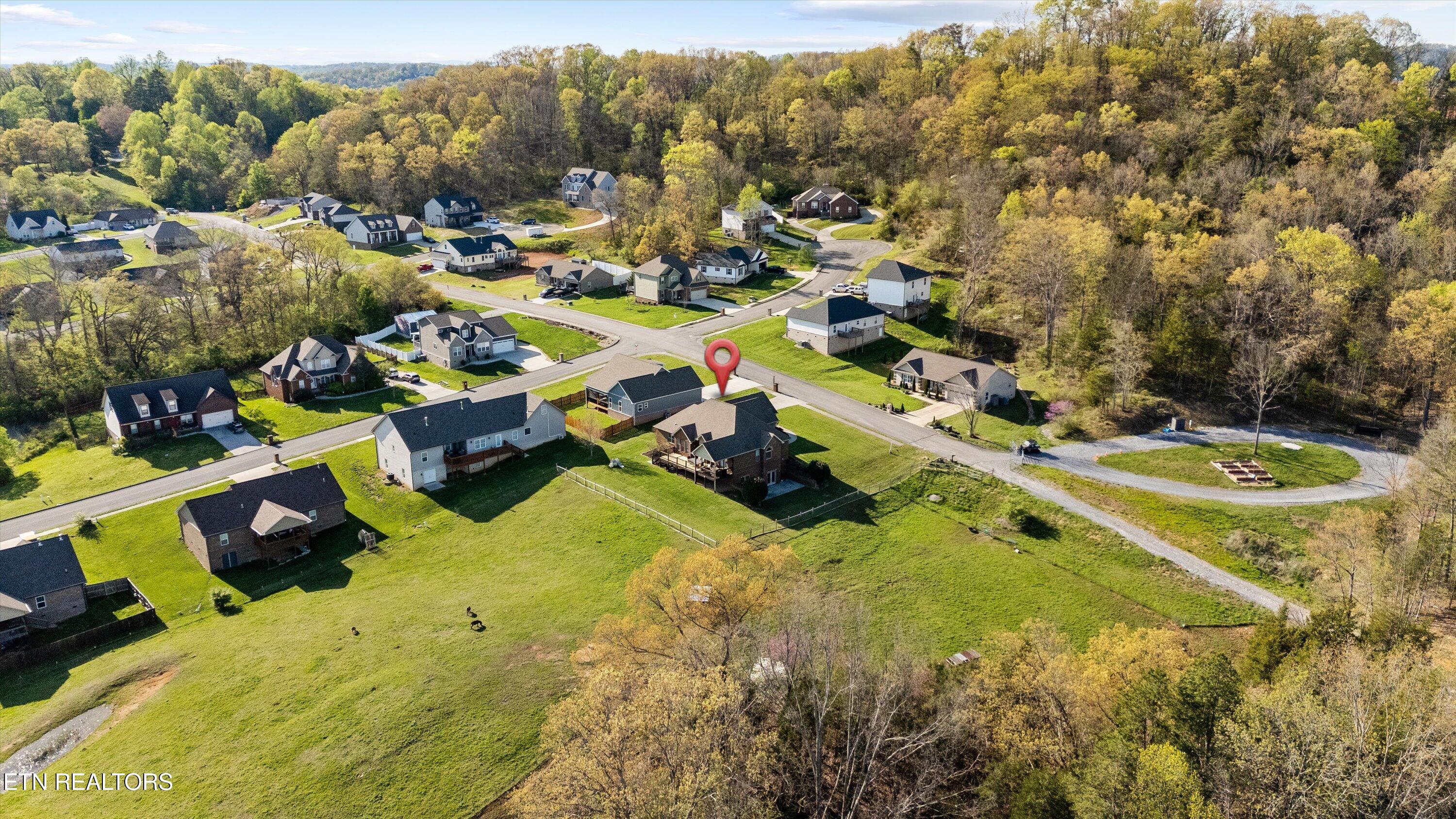 7006 Elna Marie Drive