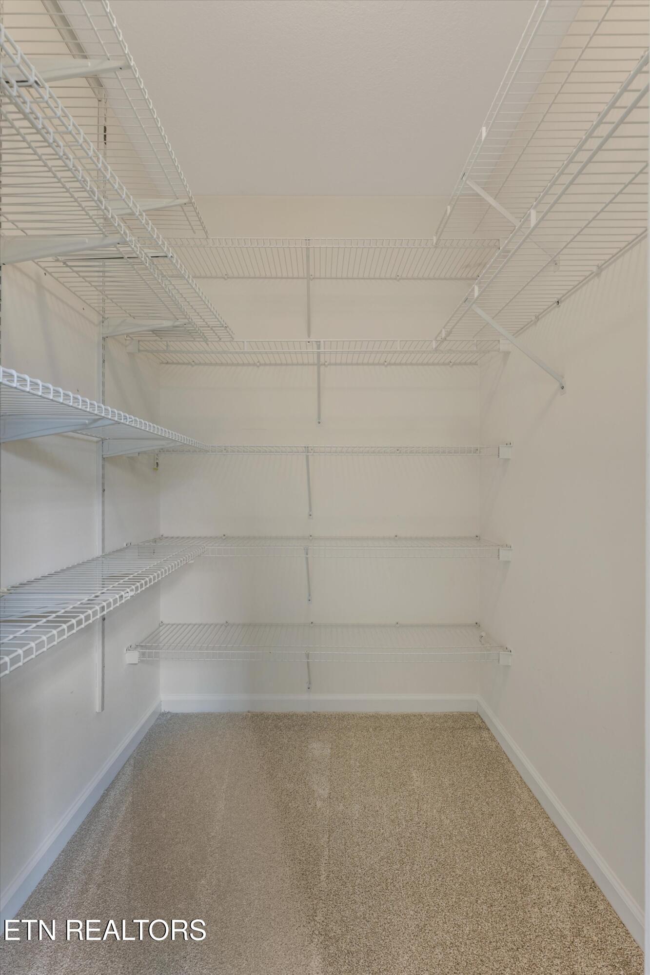 8218 Jack Russell Court