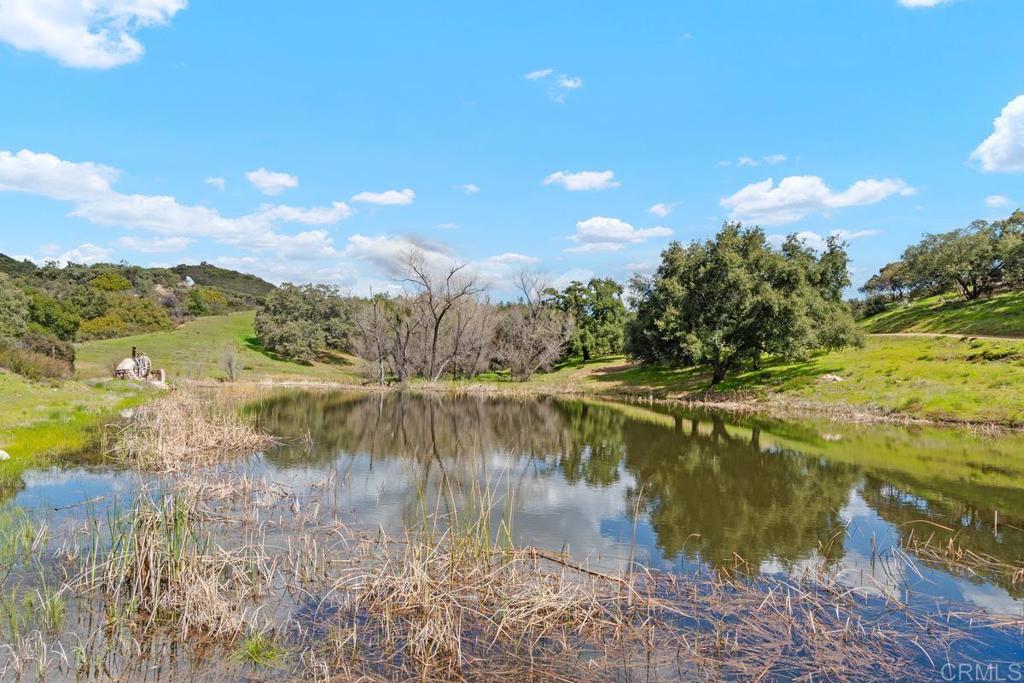 23388 Bell Bluff Truck Trail Trail