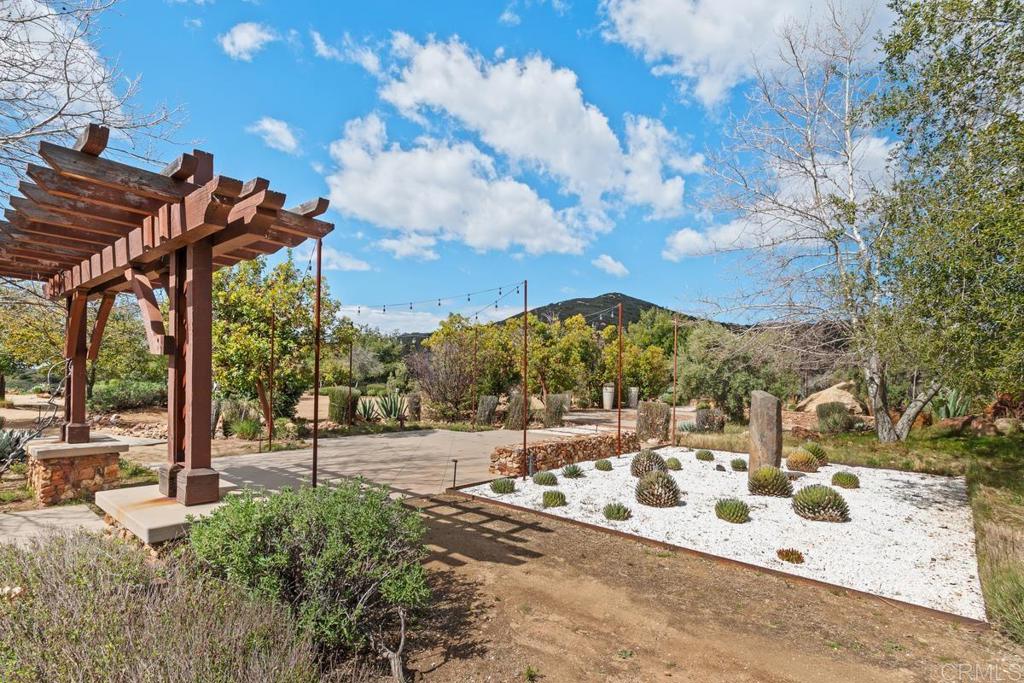 23388 Bell Bluff Truck Trail Trail