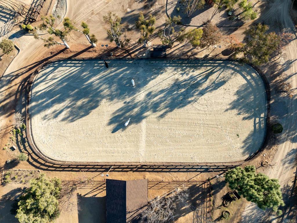 3113 Camino Del Rancho