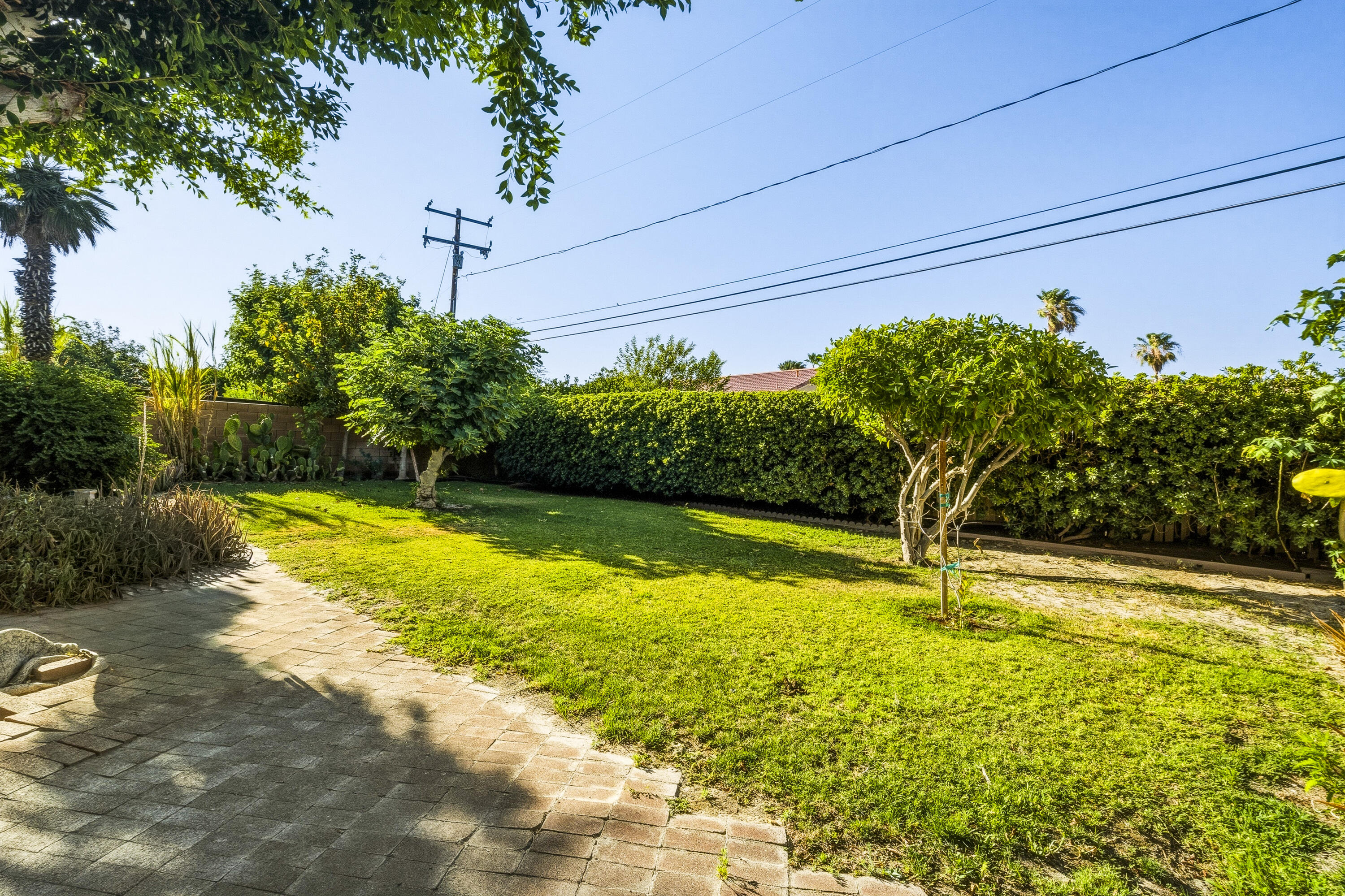 Backyard lawn bordered by hedges and trees, with a paved patio and cactus garden.