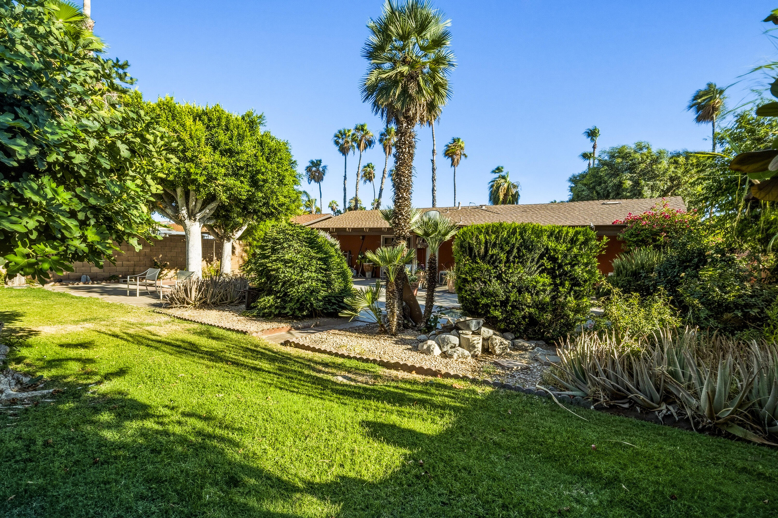 Single-story home behind a broad green lawn, mature palms, and dense desert landscaping.