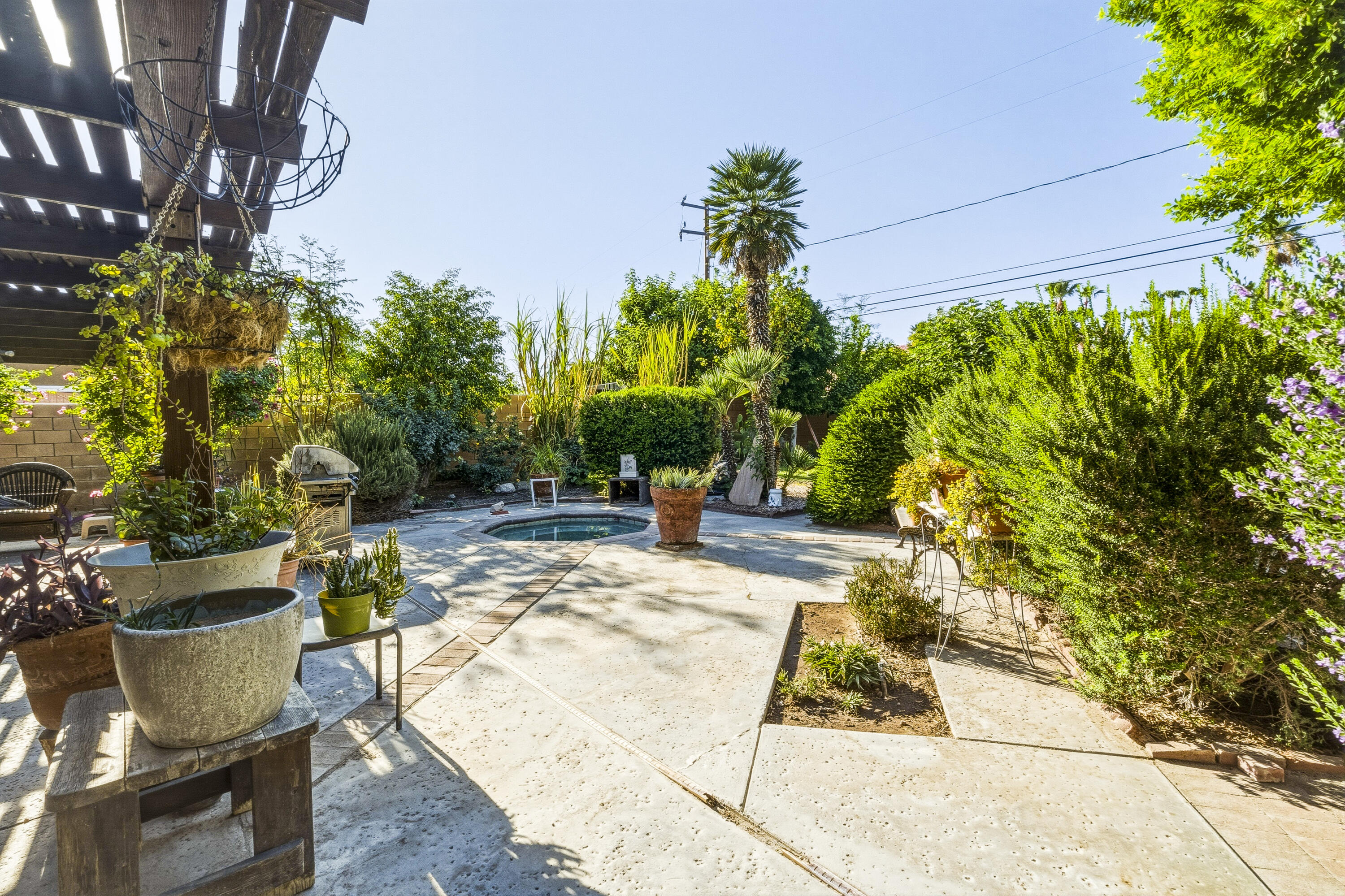Backyard patio with a small pool, shaded by a pergola and surrounded by lush landscaping.
