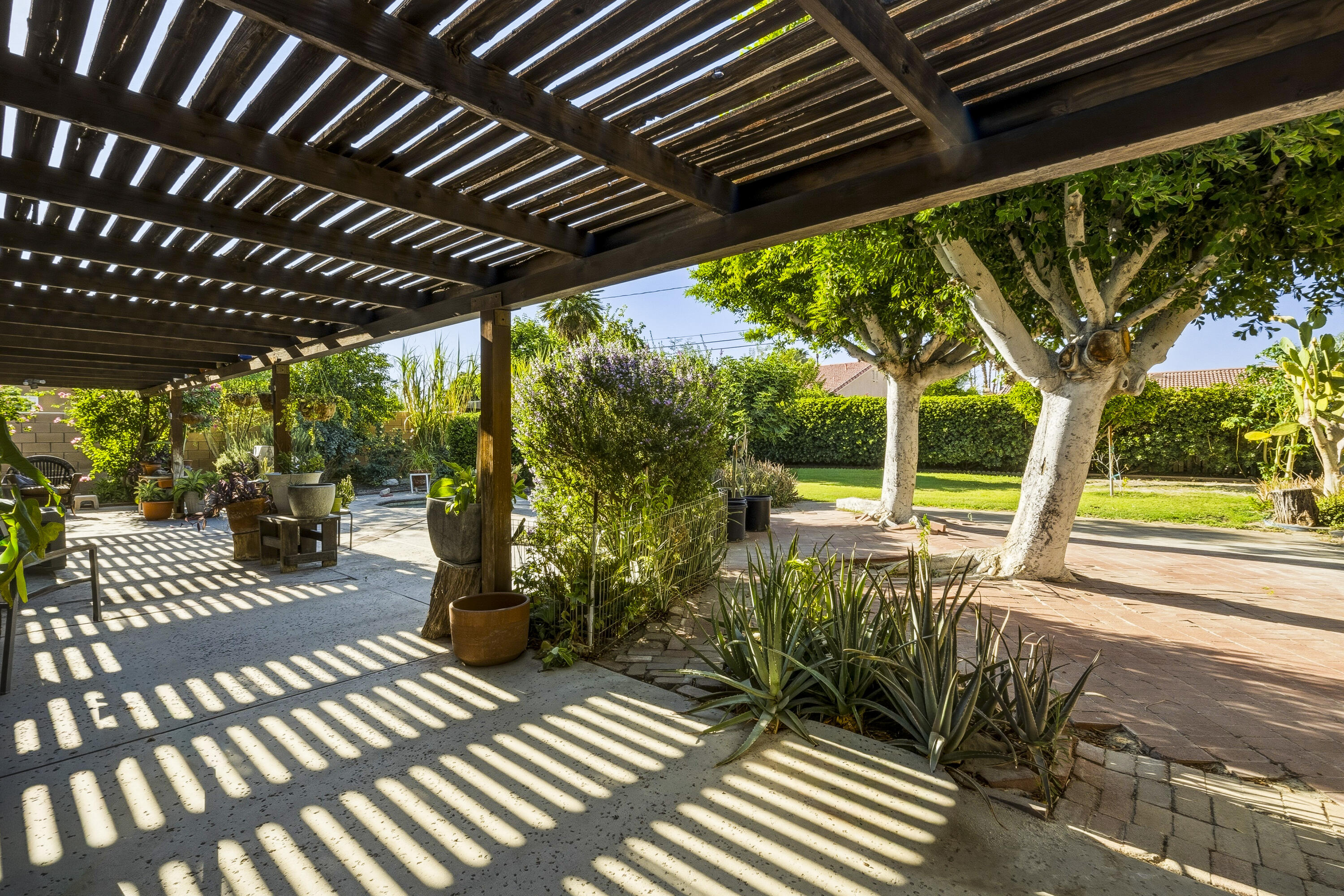 Backyard patio beneath a wooden pergola, with mature trees, potted plants, and brick paving.