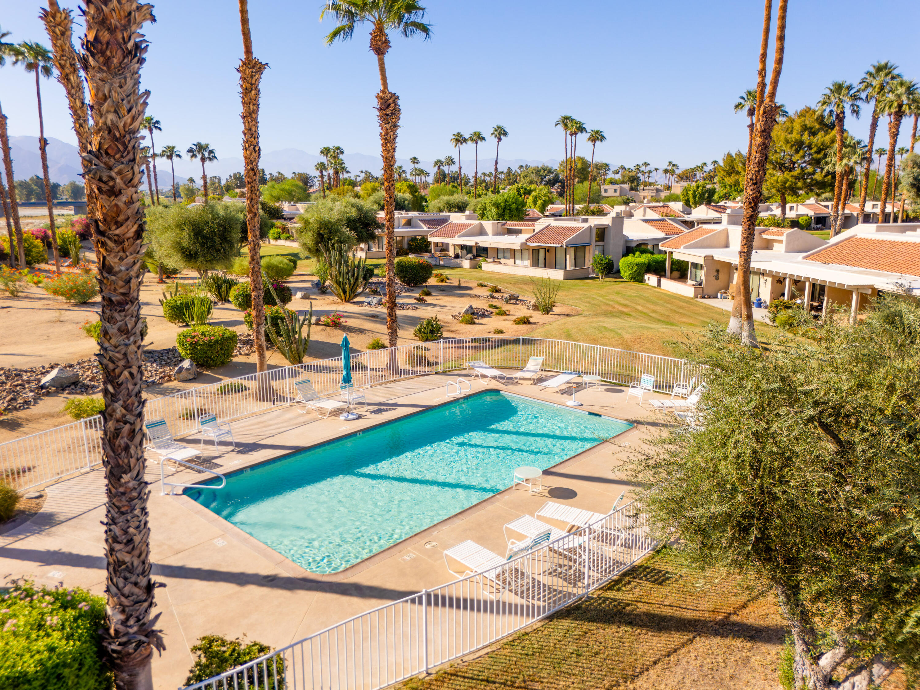Community pool surrounded by palm trees and homes, with mountains in the distance.
