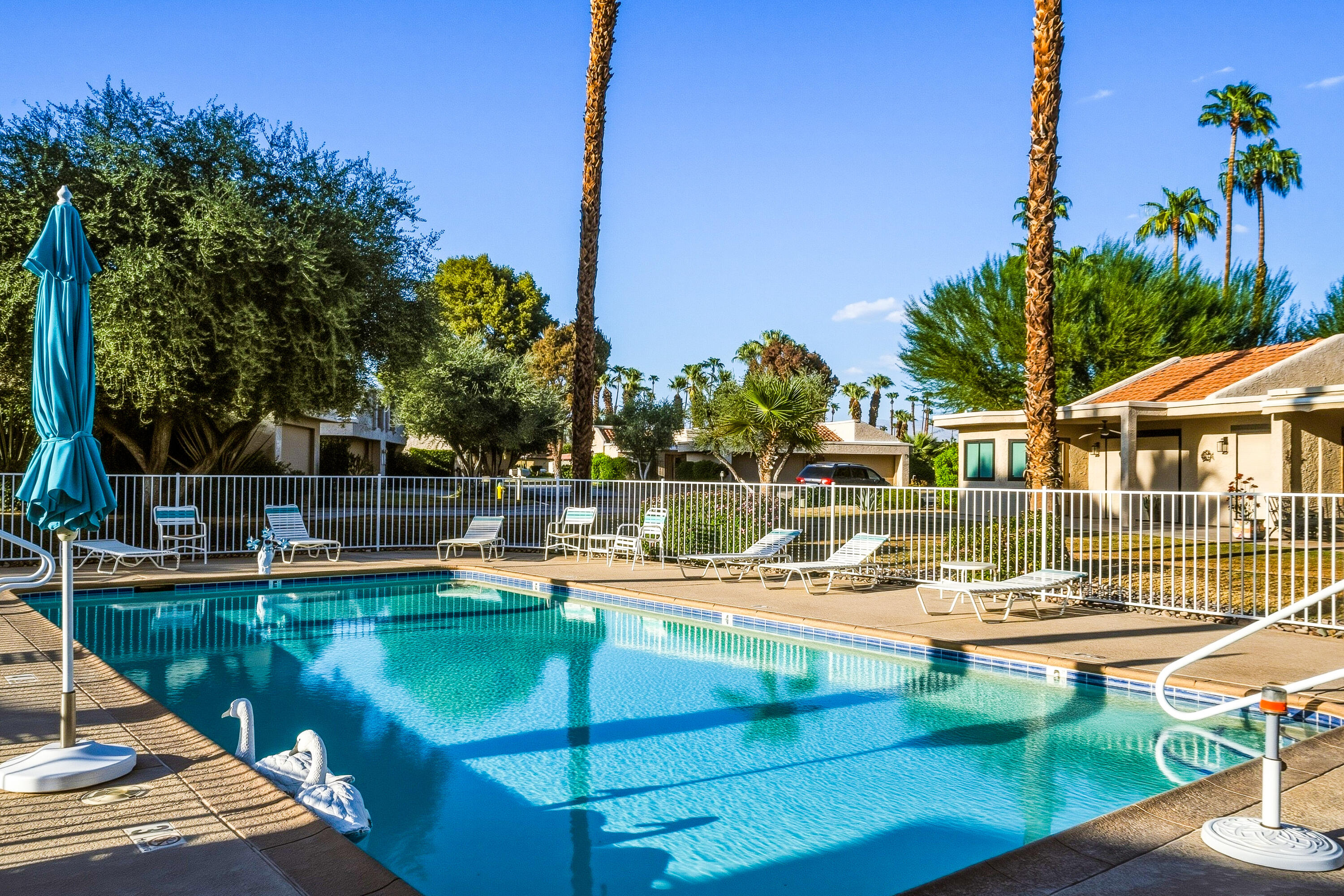 Outdoor pool with turquoise water, lounge chairs, white fencing, and tall palm trees.