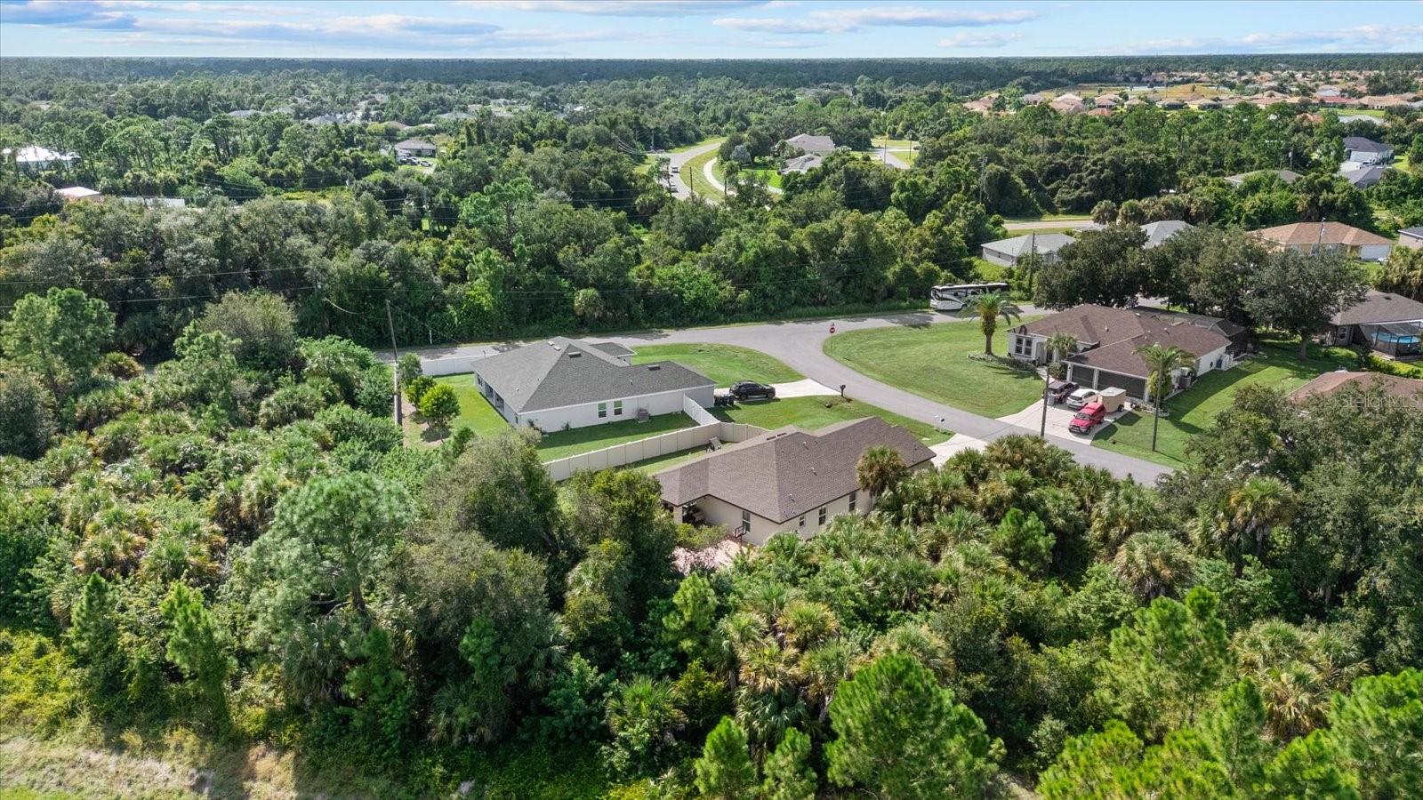 Aerial view of homes and tree-lined streets amid dense greenery.