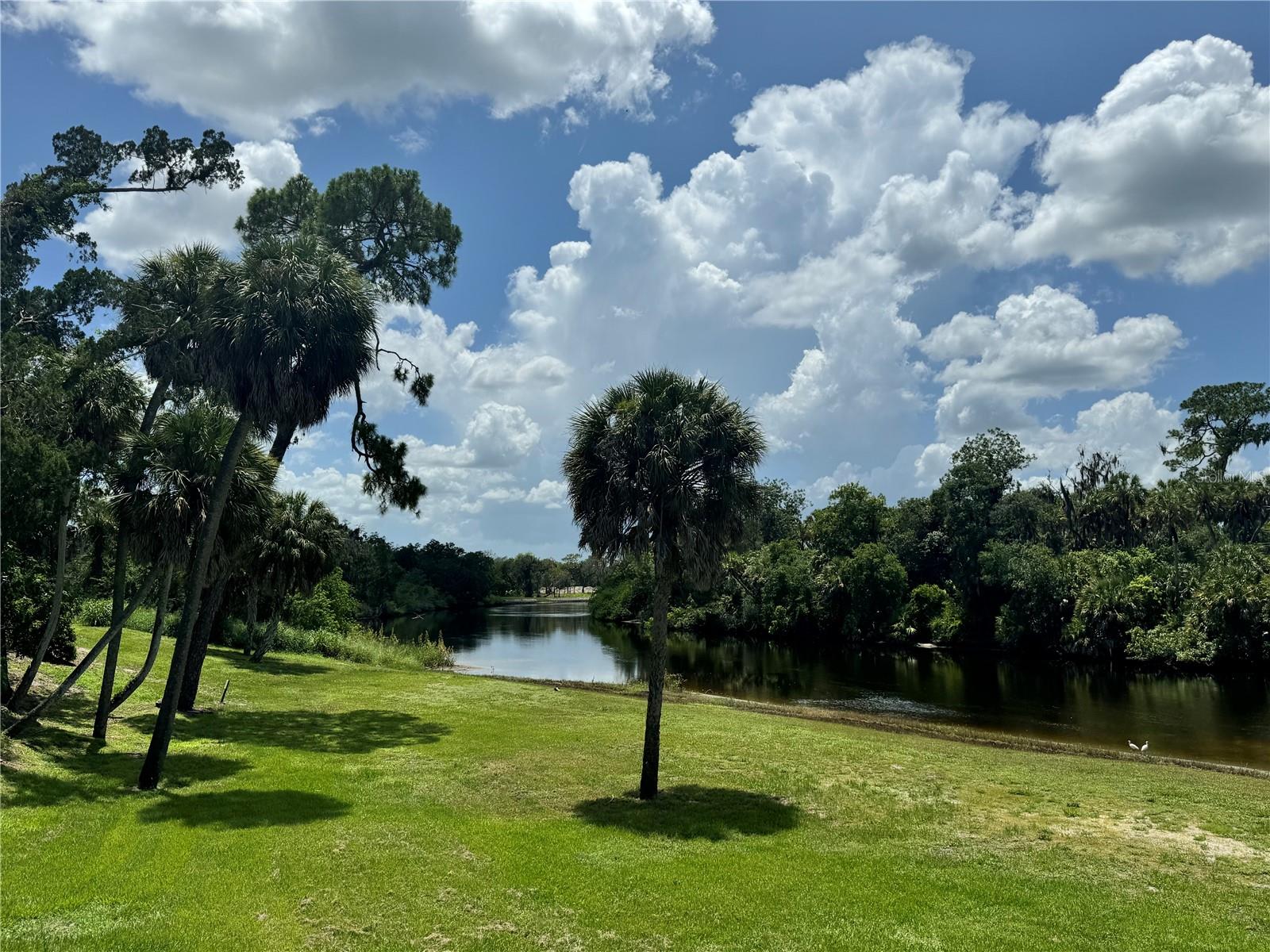 1017 FERNLEAF RUN