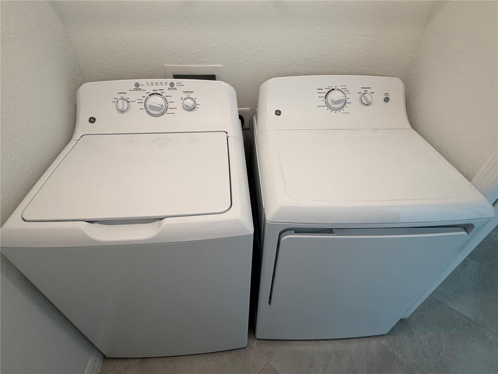 19015 SCALLOP LOOP #101