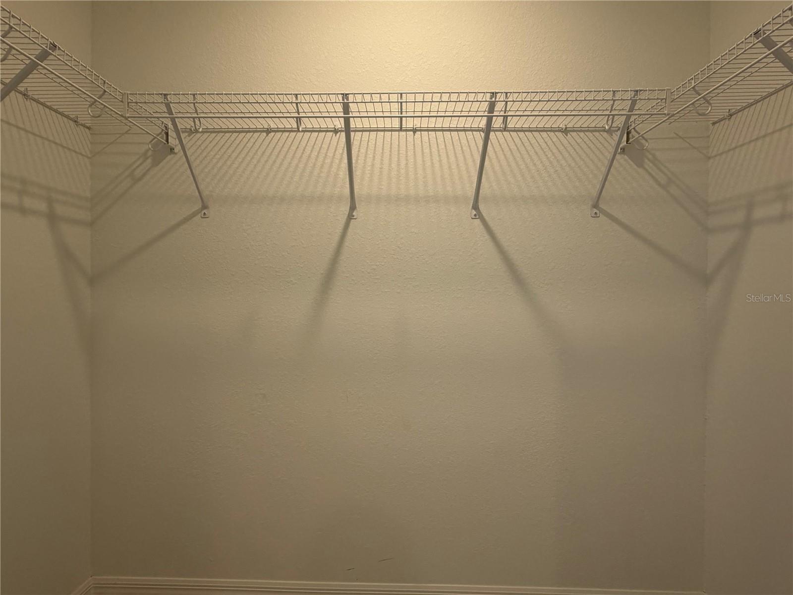 19015 SCALLOP LOOP #101