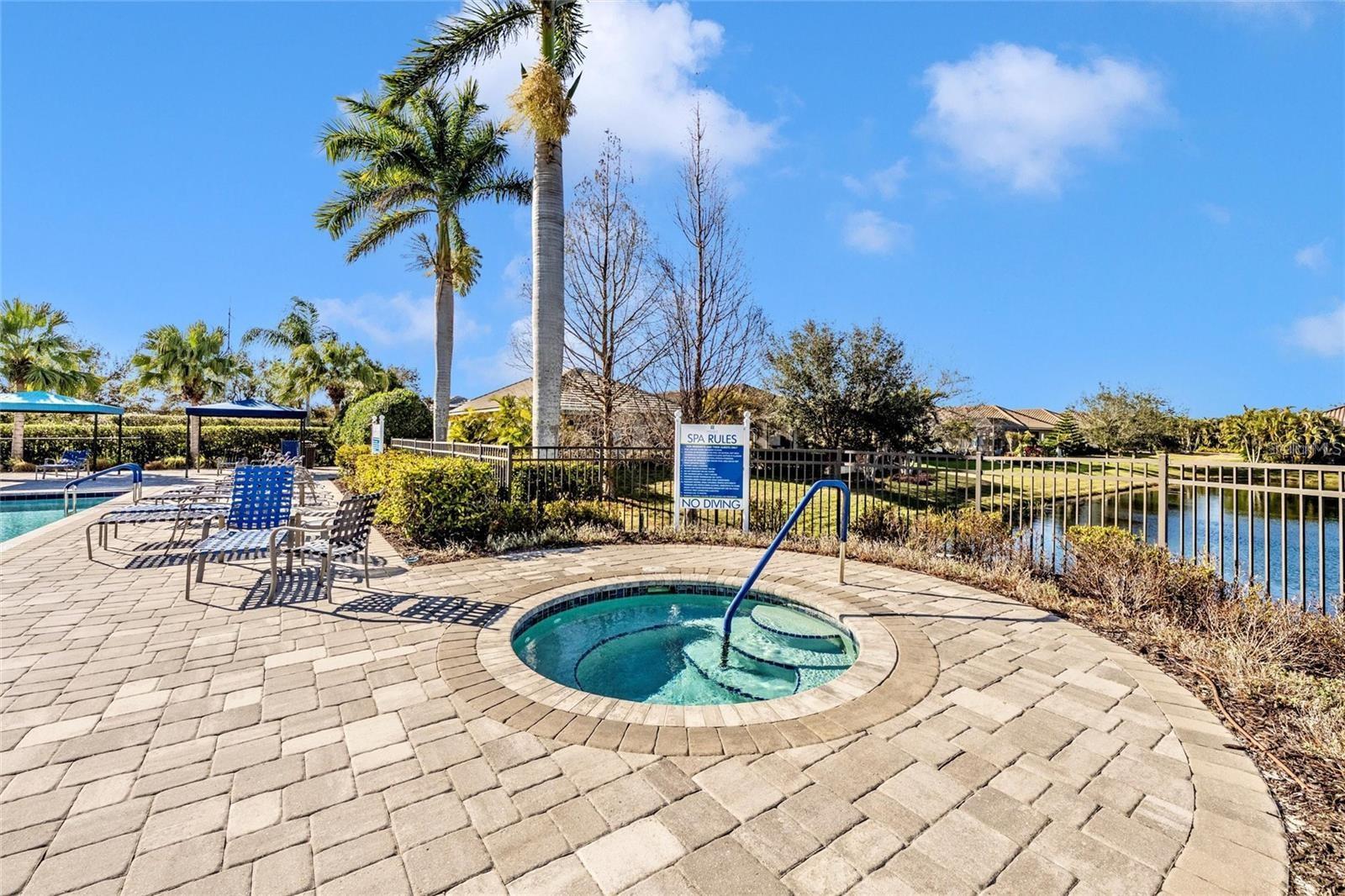 Outdoor community spa beside a pool, with paved decking, lounge chairs, and palm trees.