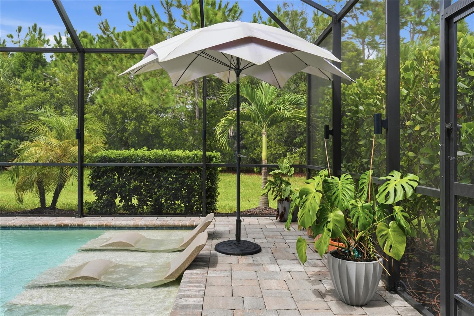 Screened pool patio with shallow tanning ledges, a white umbrella, and tropical potted plants.