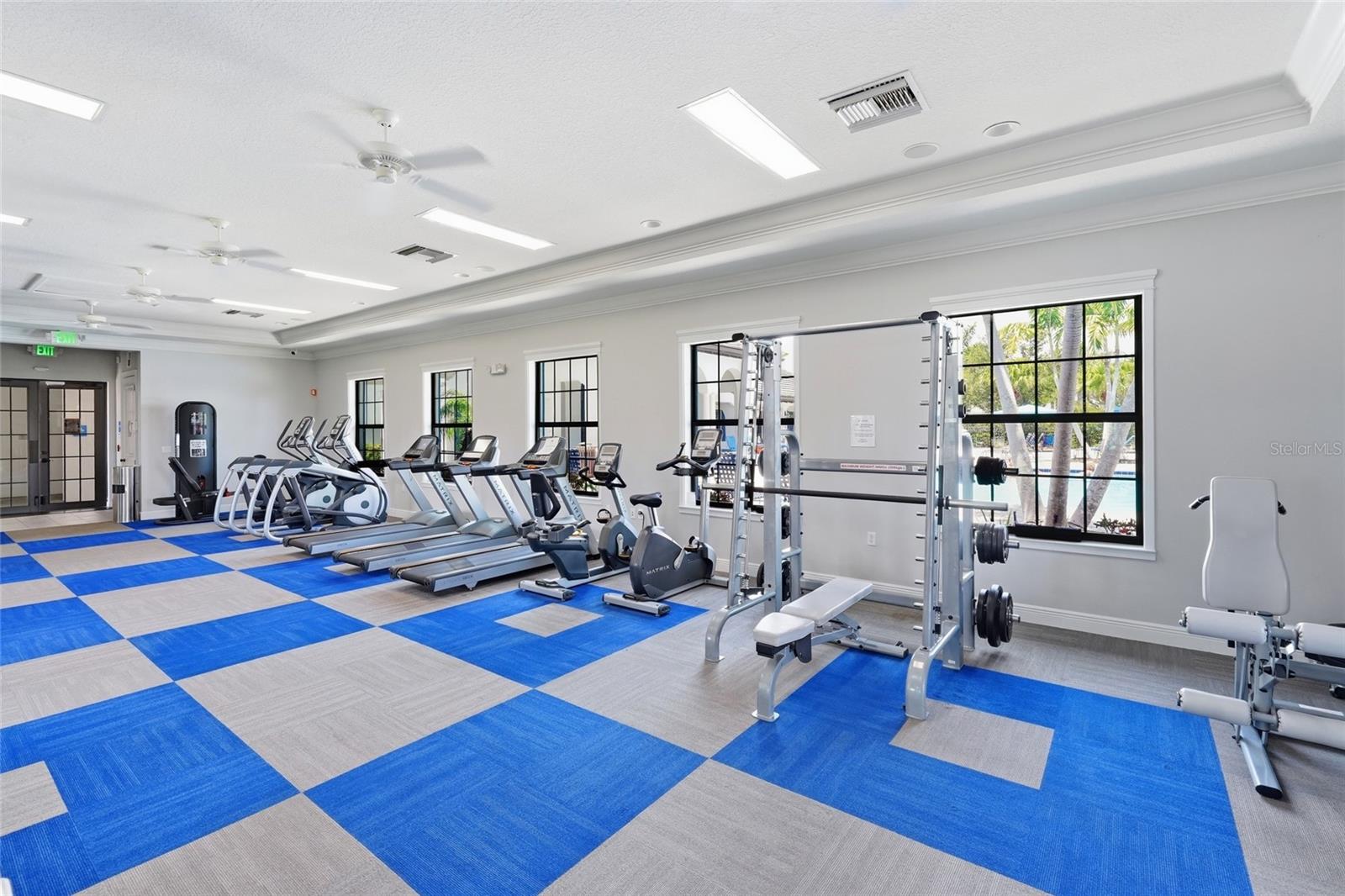 Community fitness room with cardio machines, a weight rack, and windows overlooking palm trees and a pool.