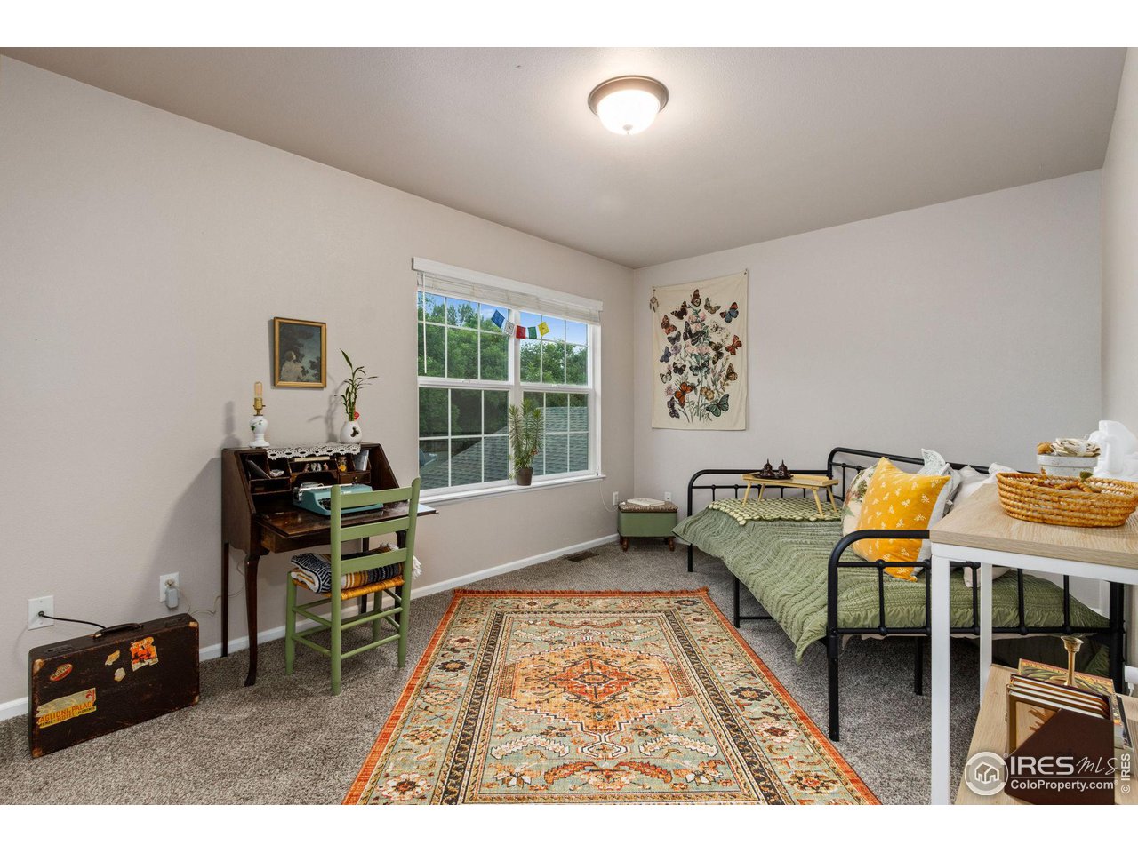 4509 Starflower Dr C