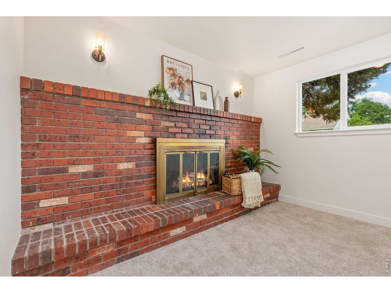 743 Scotch Elm Dr