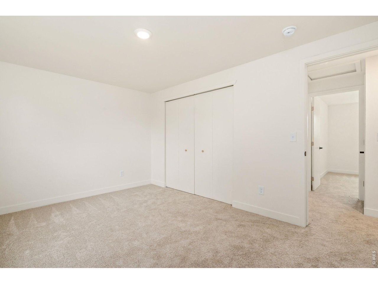 743 Scotch Elm Dr