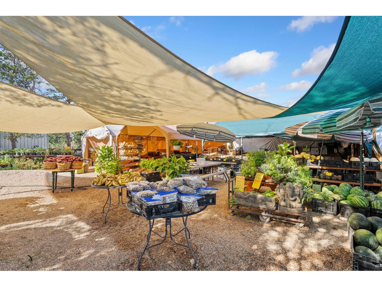 12155 N County Road 15