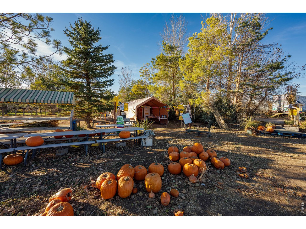 12155 N County Road 15