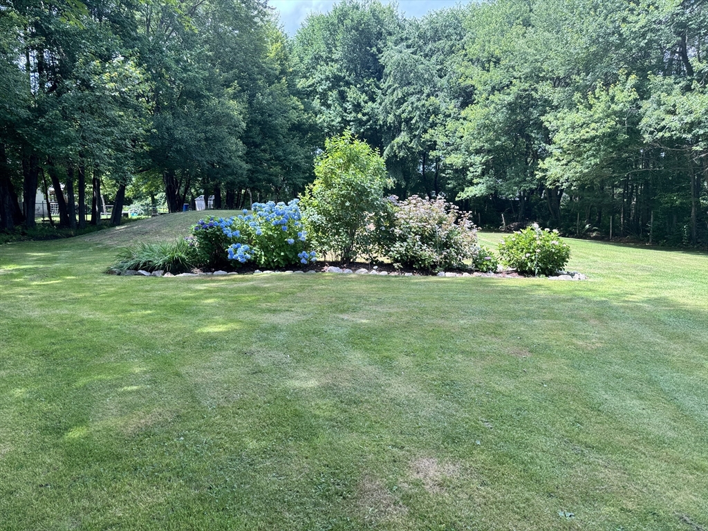 88 Ferry Road