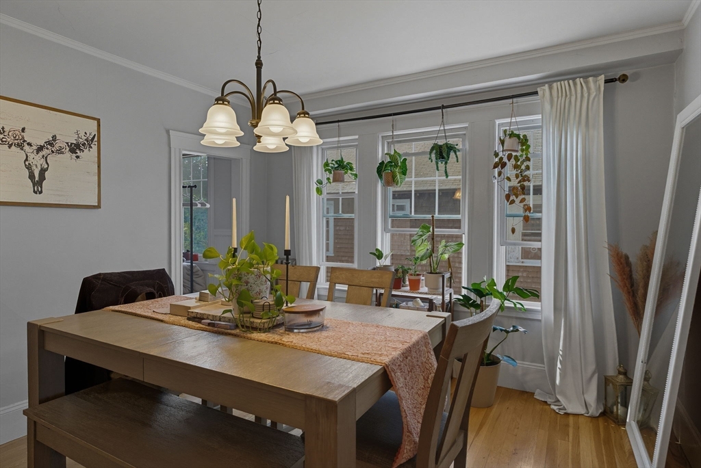 81-83 Marshland St