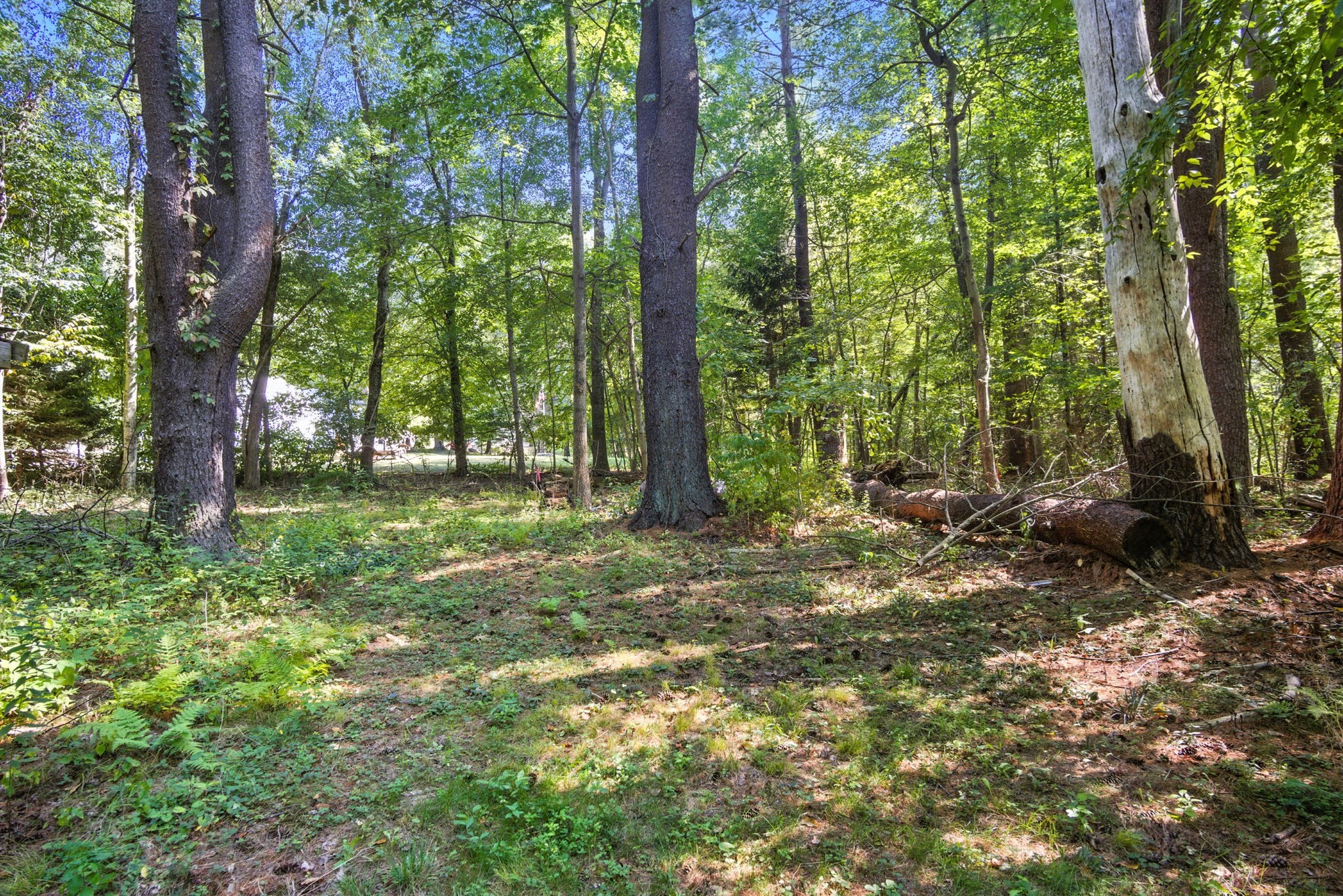 27 Pleasant St